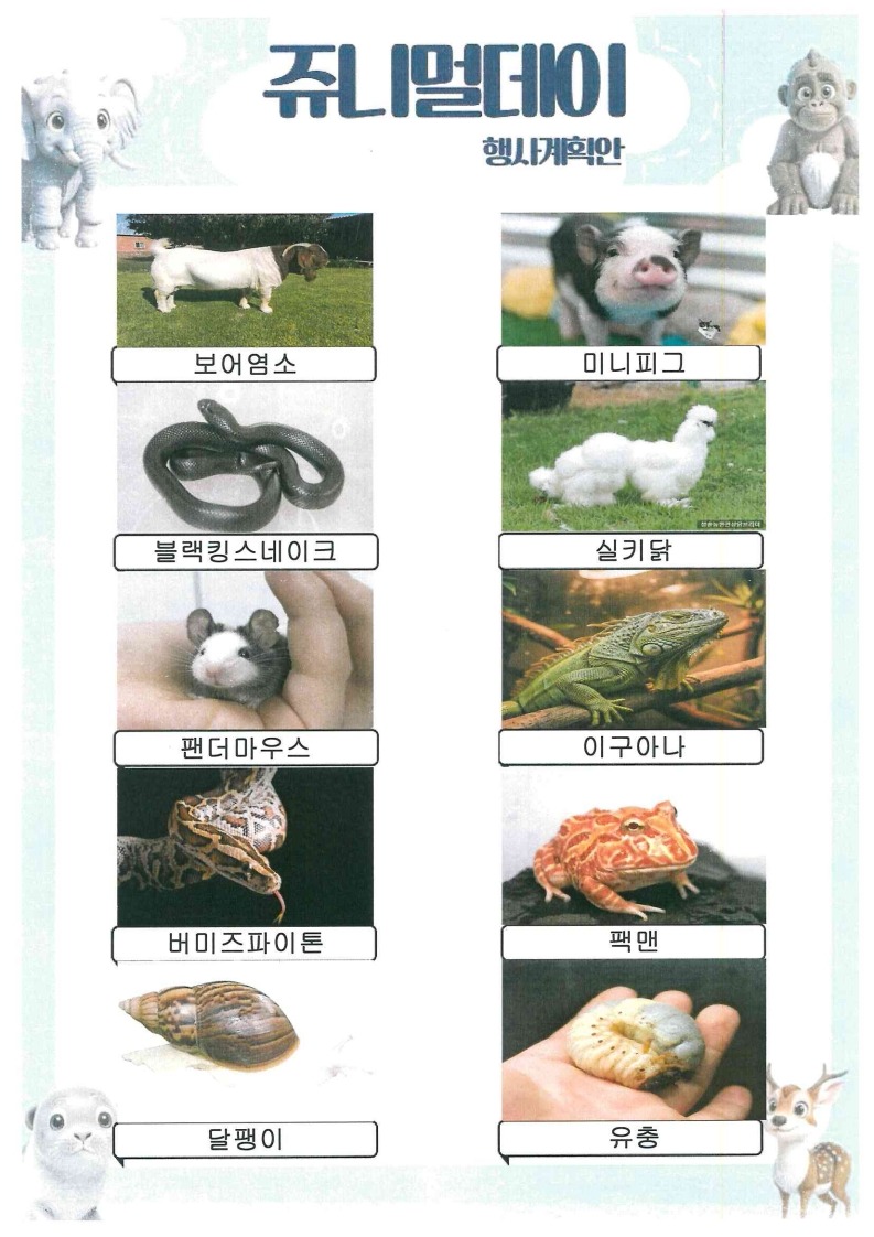 동물체험_1.jpg